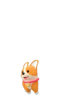 Efeito de presente do TikTok Corgi